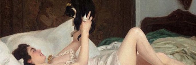 bimbodoctor's profile banner image