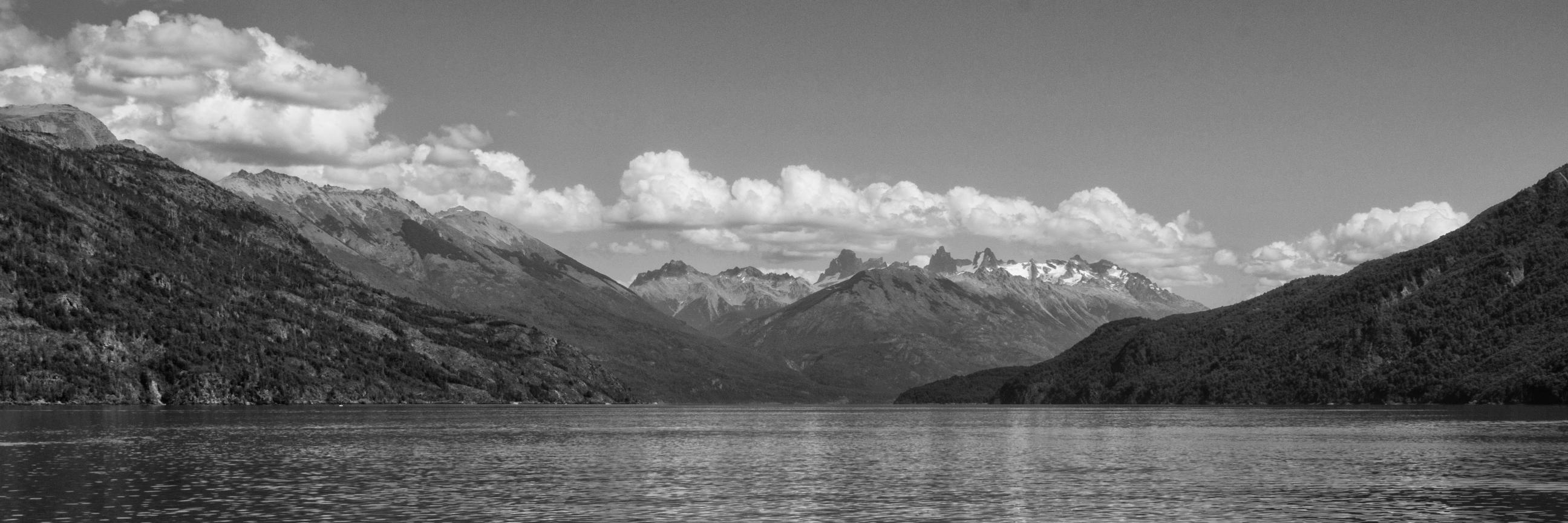 mispattybouvier's profile banner image