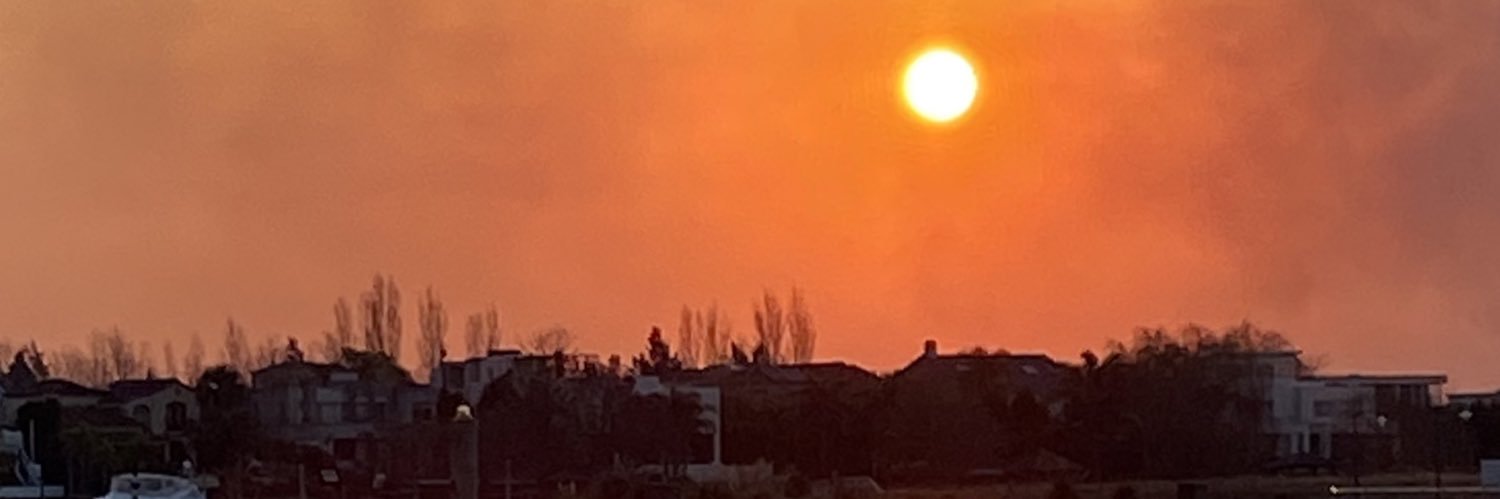 Vanesa Bafaro banner