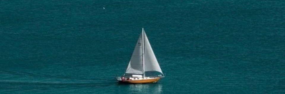 🇸🇦Talal banner