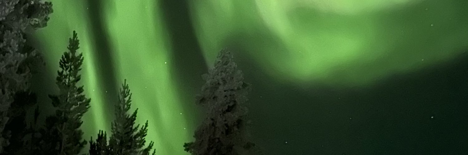 Lise banner