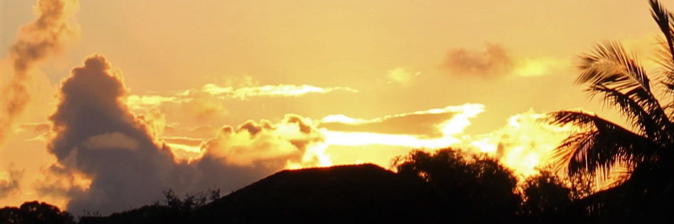 EileenJenapoli's profile banner image