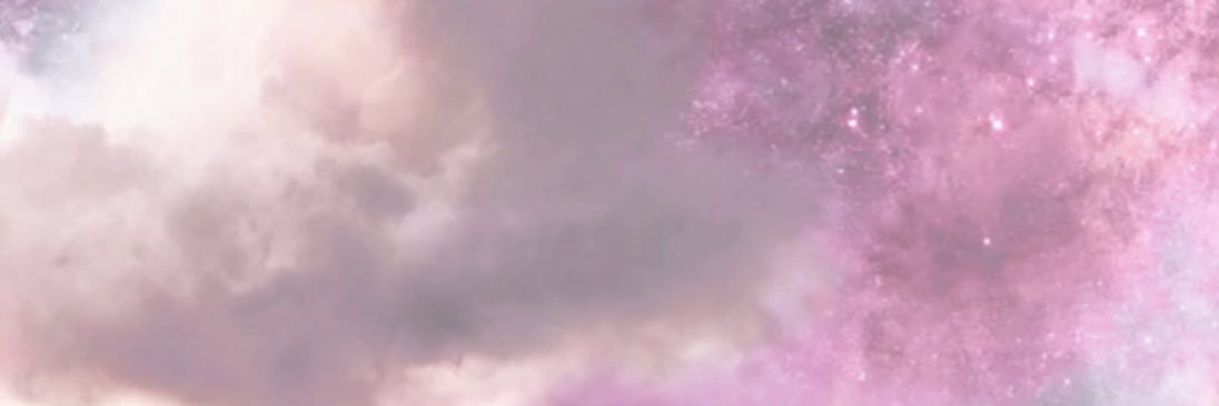 Shan Pink banner