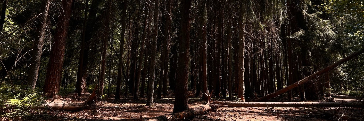 merurin02's profile banner image