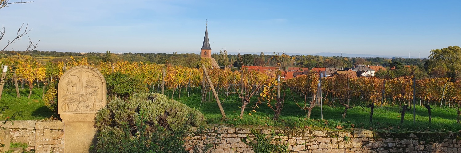 ChrGrube's profile banner image
