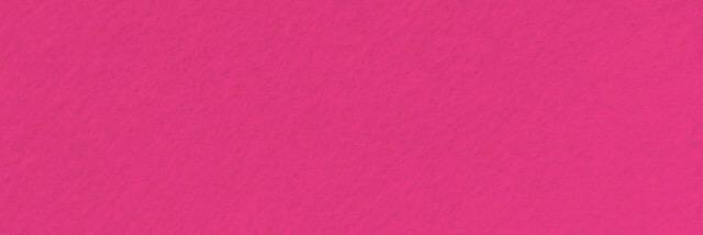 Riche héritiere de l’immigration 🐢✊🏻🐞 banner