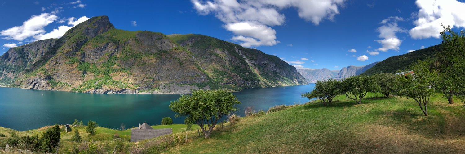 Austin Ferguson, Ed.D. banner