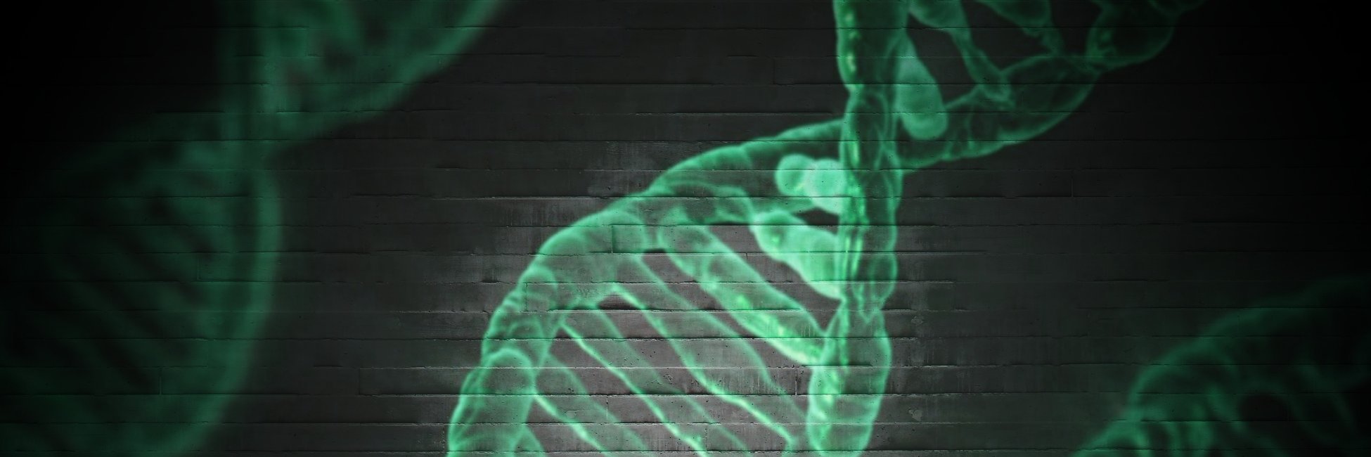 Crhisllane's profile banner image