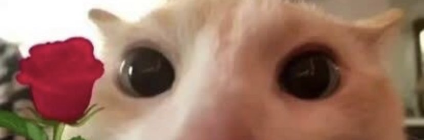 marcussvn_'s profile banner image