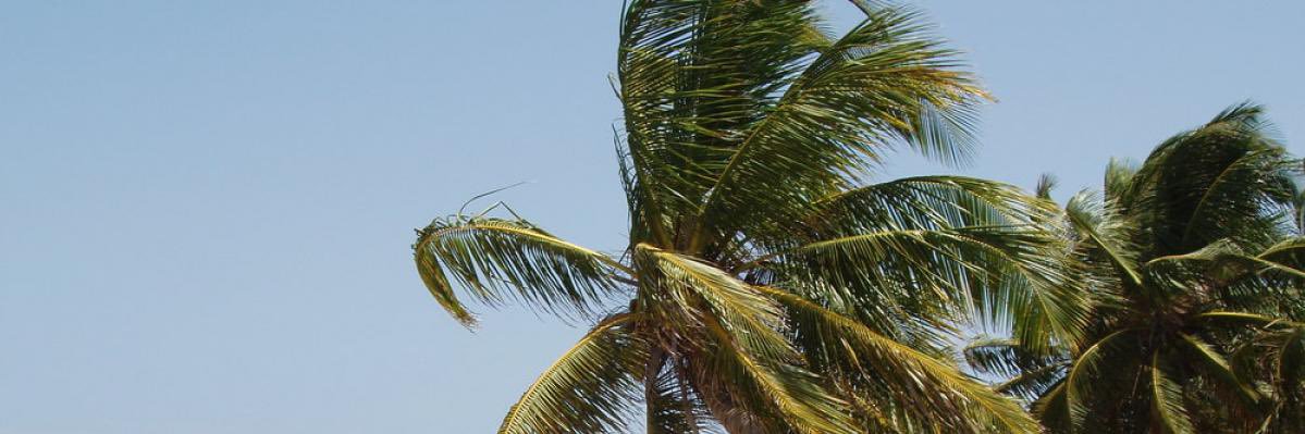 discrt11🔞 banner