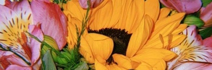 bwscate's profile banner image