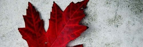 BrandNewHuman's profile banner image
