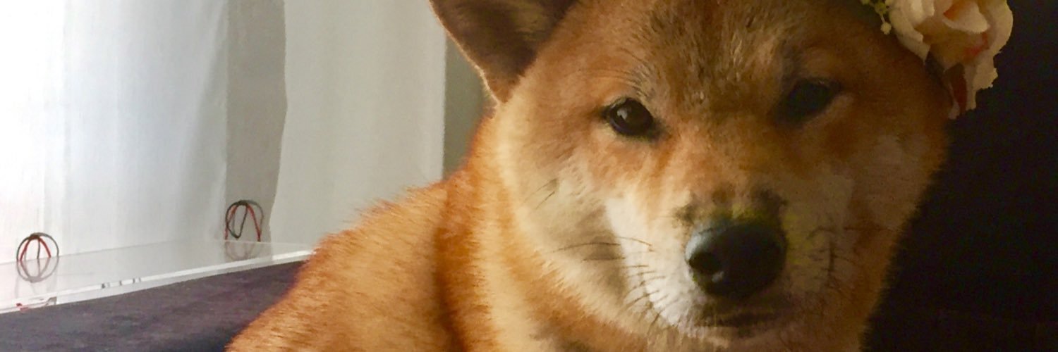 msimoher's profile banner image