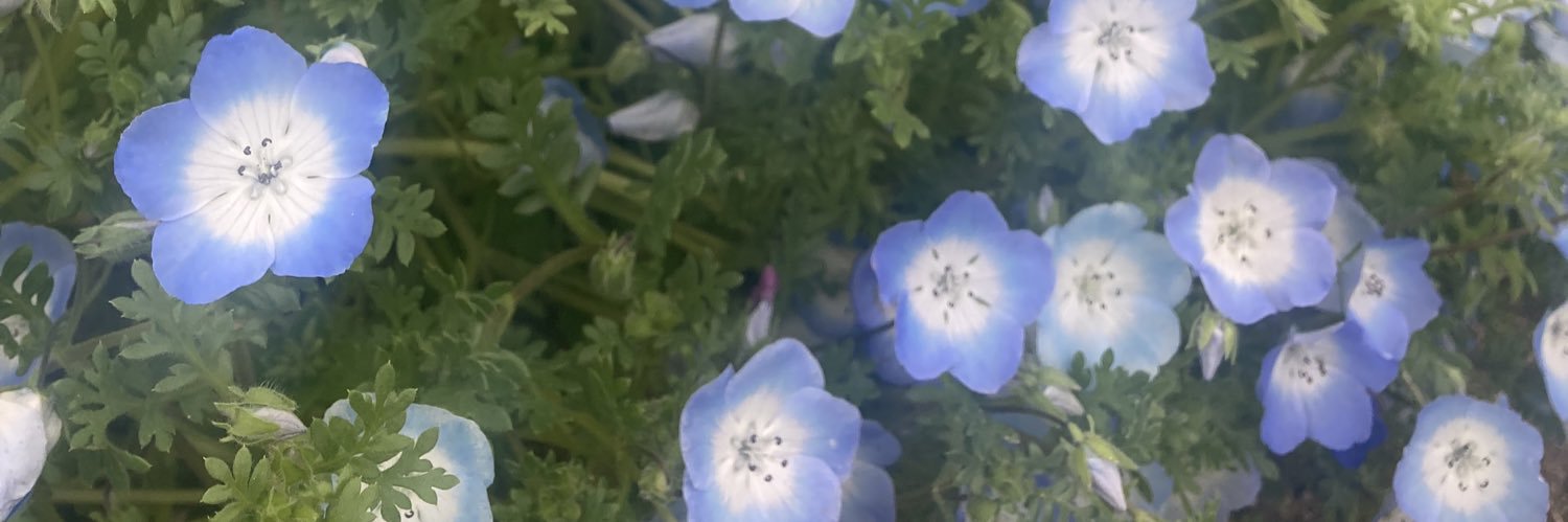 ichi__blue's profile banner image