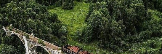 BlackLemon 🍋 banner