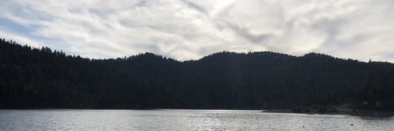 guilvela's profile banner image