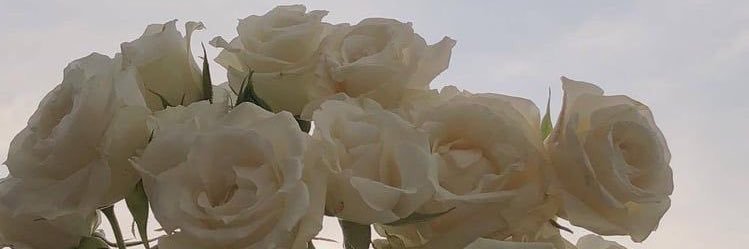 715chiiii's profile banner image