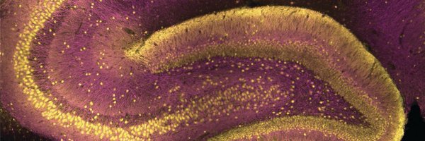 beherring Profile Banner