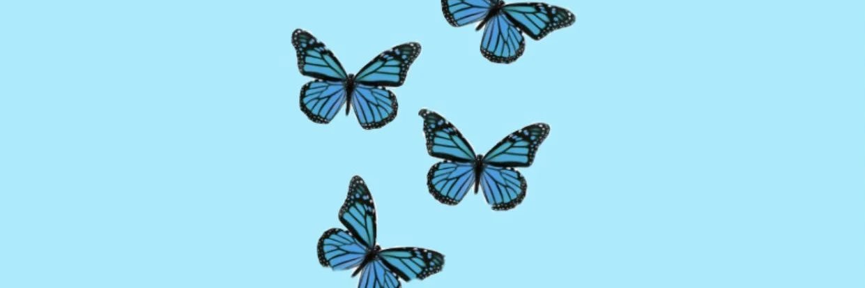 t banner