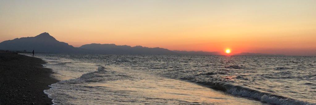 ninnigera's profile banner image