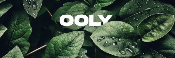 TTVOOLY's profile banner image