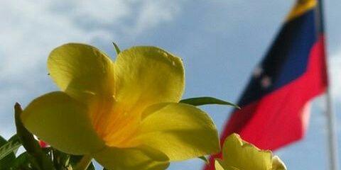 OjosMudos79's profile banner image