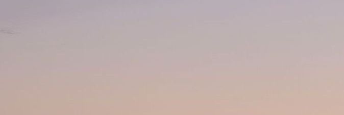 🐈 banner