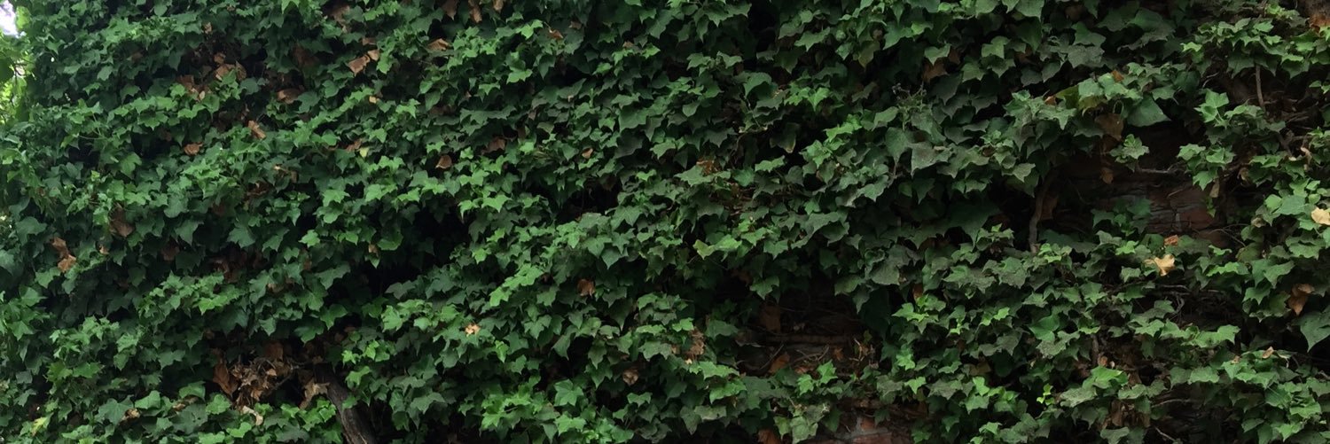 MarrMaggie's profile banner image