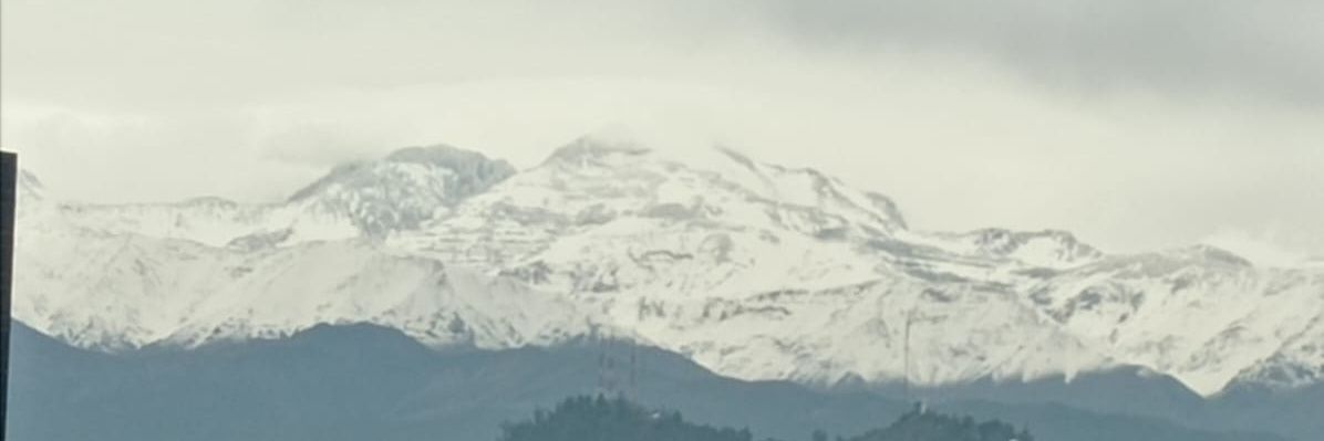 Julio Guzmán banner