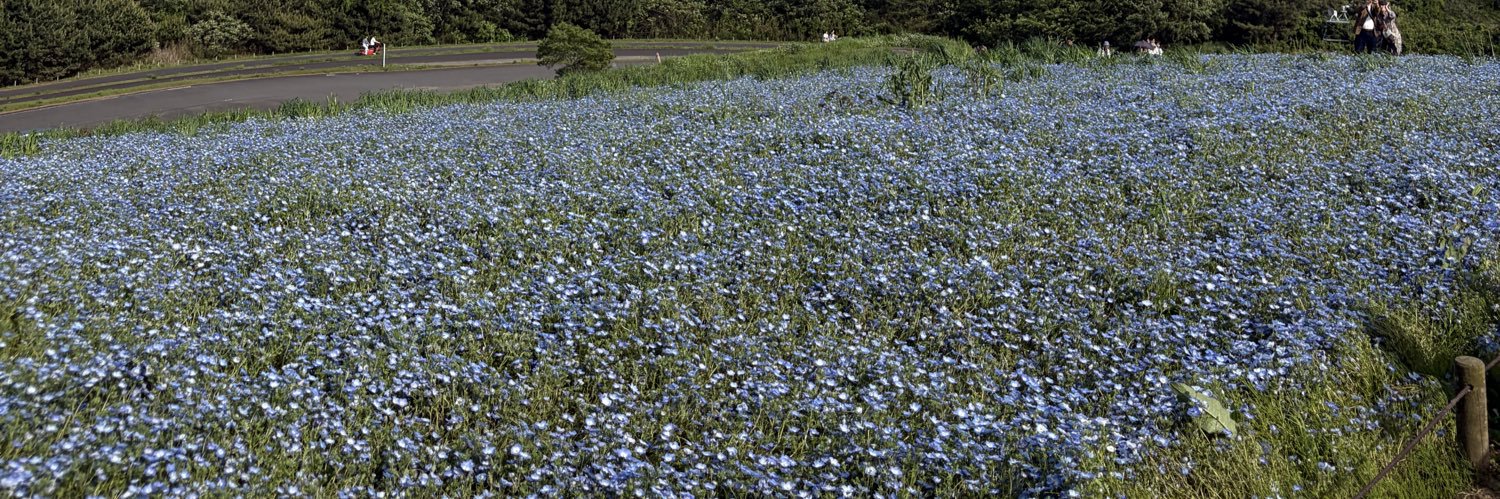 uy3530's profile banner image