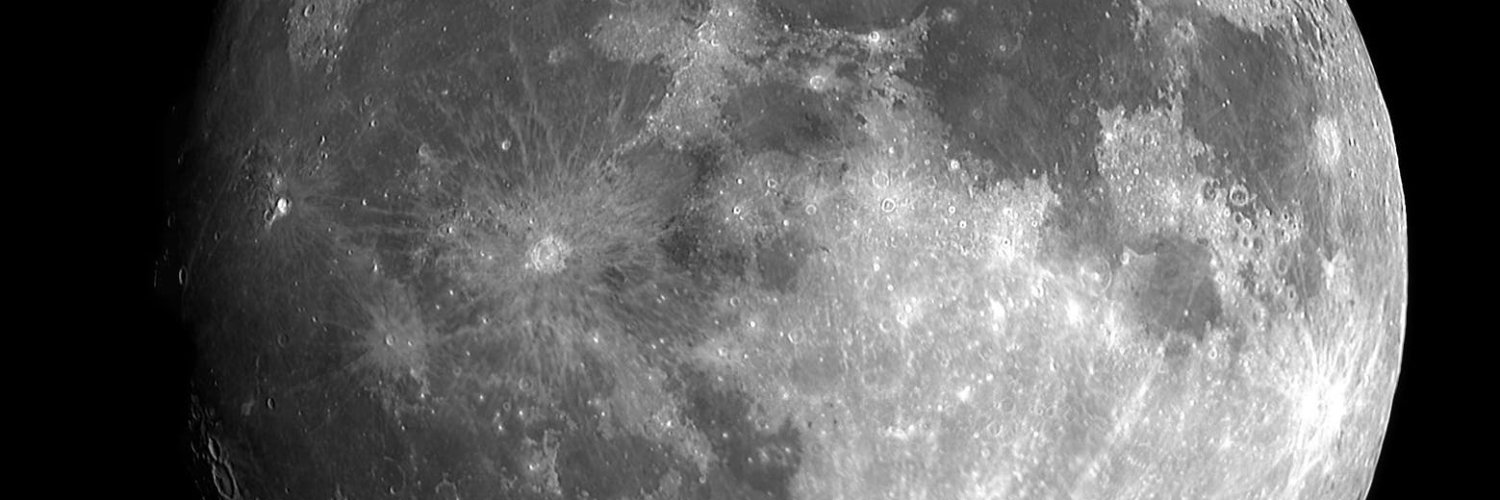 CryptoTheBrain's profile banner image
