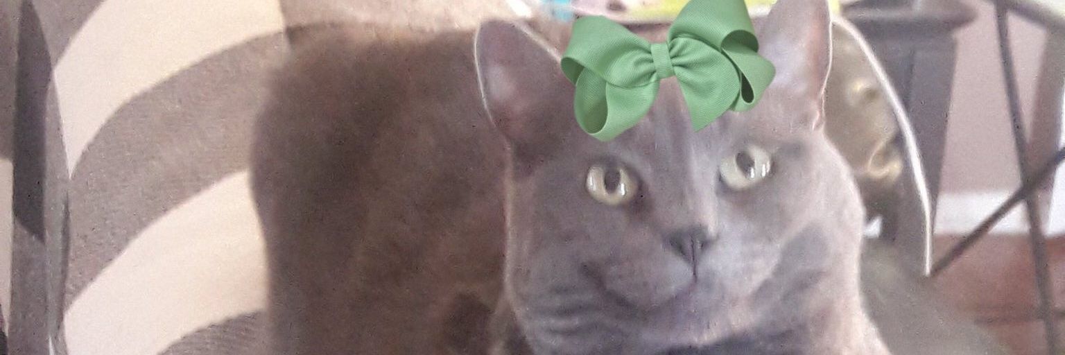 MissyBlueKitty's profile banner image