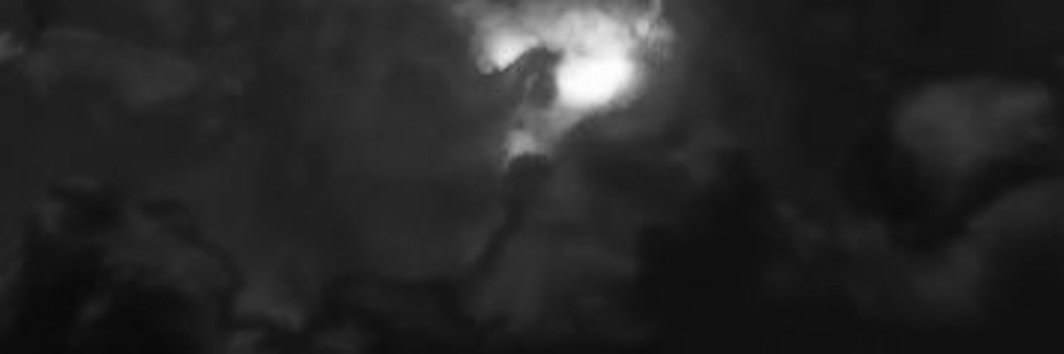 _0119_S's profile banner image