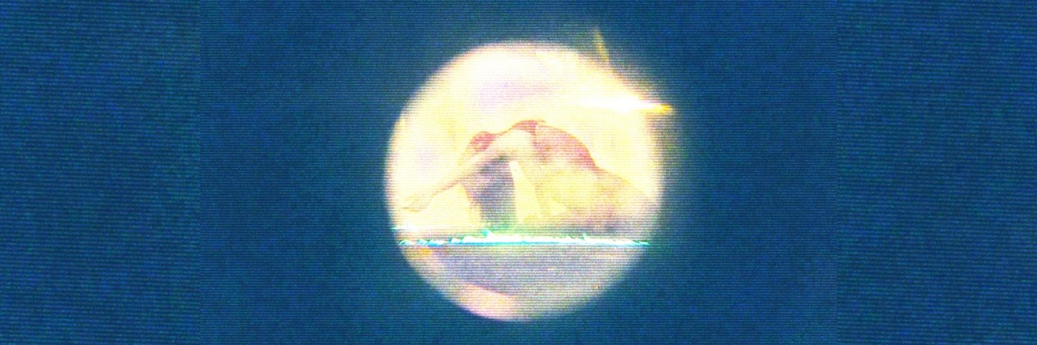 szachile's profile banner image
