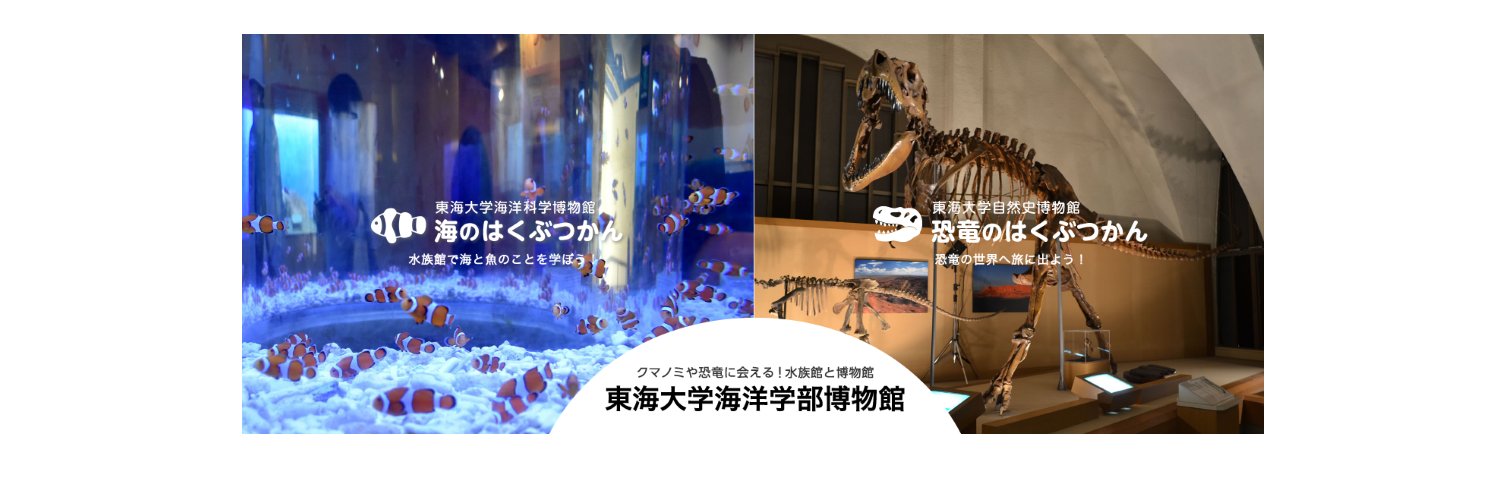 東海大学海洋科学博物館･自然史博物館 banner