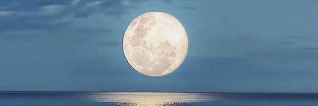 .... banner
