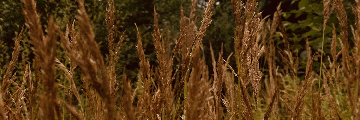 mlkyldrm1997's profile banner image