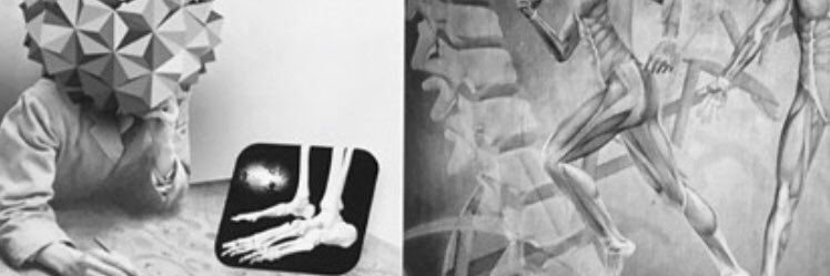 Prof Sarah Curran banner