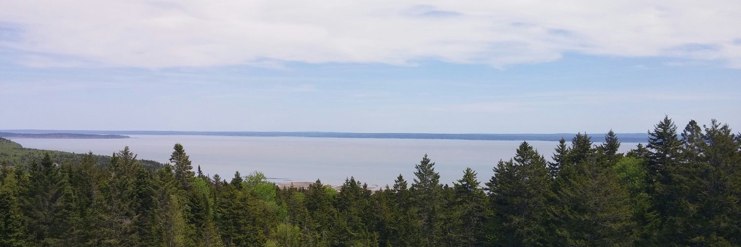 lindseyettinger's profile banner image
