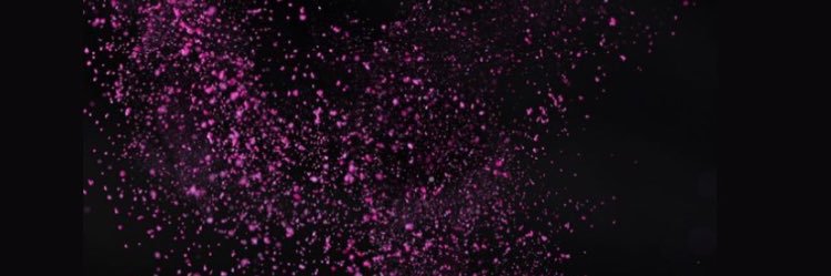 petaoto's profile banner image