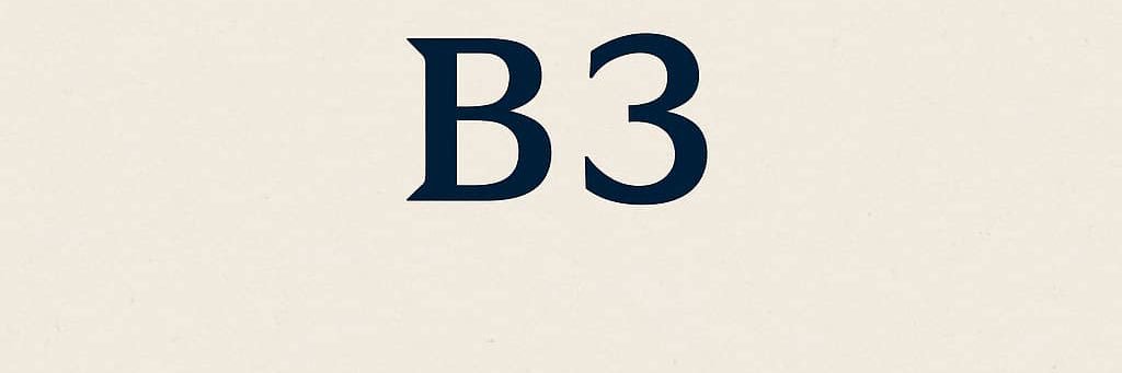 B3 banner