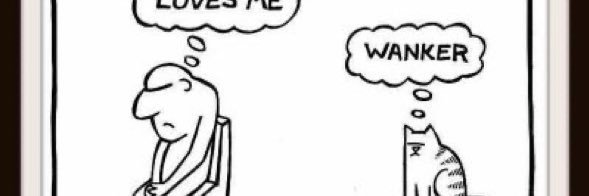 Douglas Smith banner