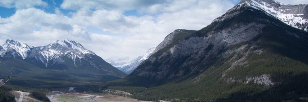 carolkit2010 Profile Banner