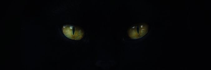 mindingmybii's profile banner image