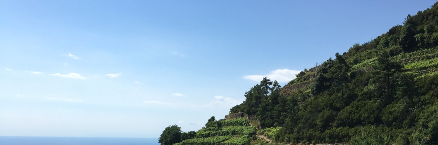 Tom G banner