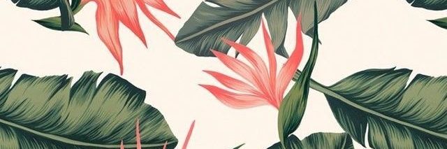 ati3y's profile banner image