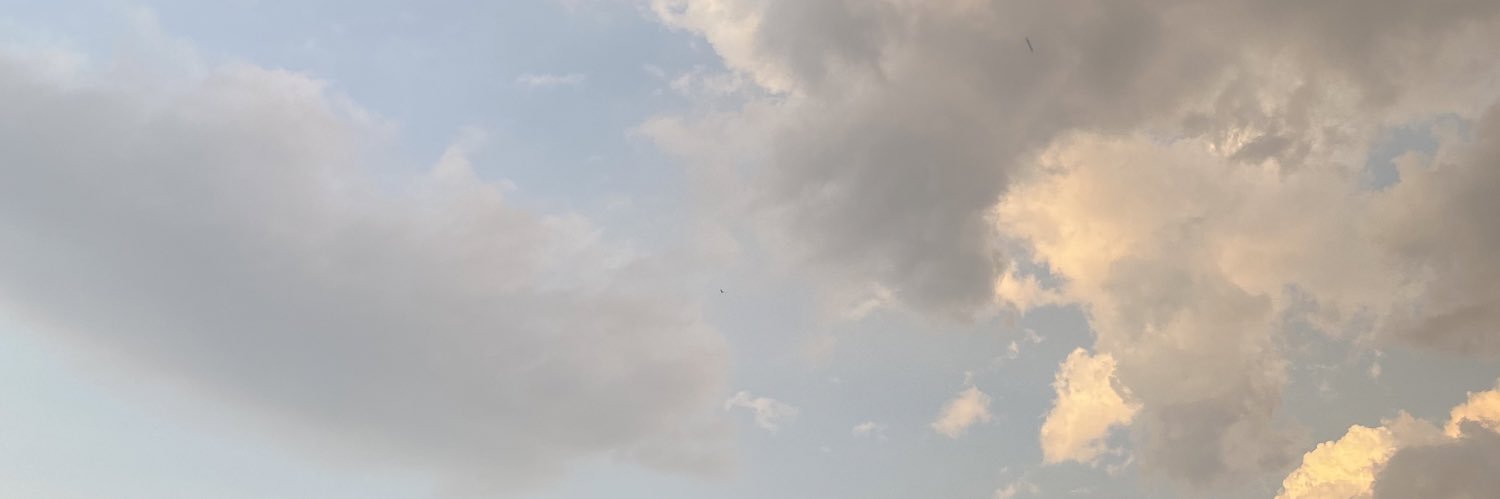 dumpiezzwa banner