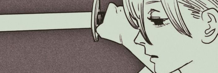 ve banner