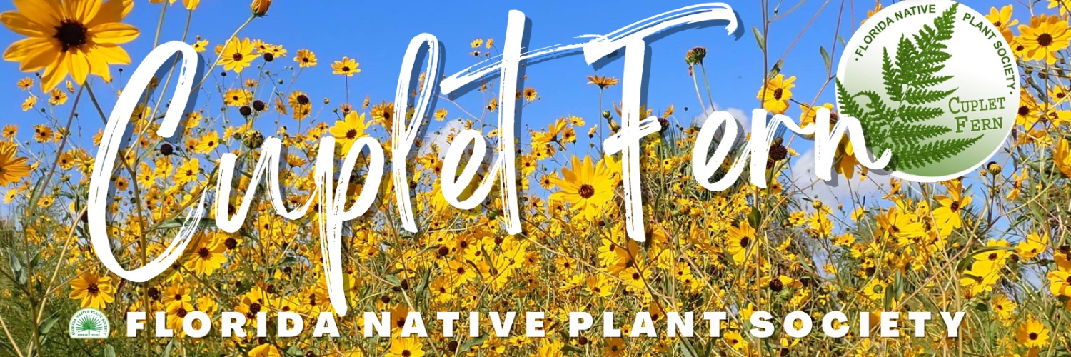 Cuplet Fern Florida Native Plant Society banner