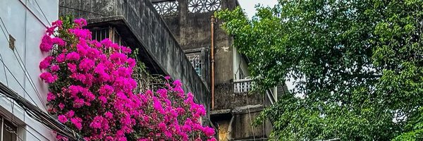 Archish__ Profile Banner